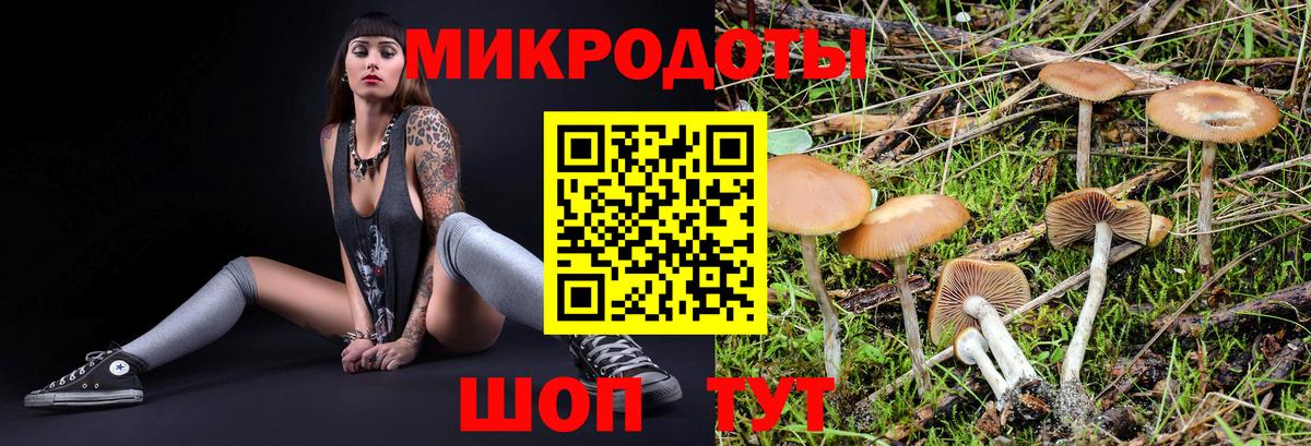 Галлюциногенные грибы мухоморы  Вход с VPN  Находка  Галлюциногенные грибы мухоморы 